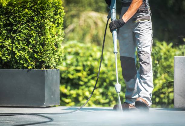  Davie, FL Pressure Washing Pros