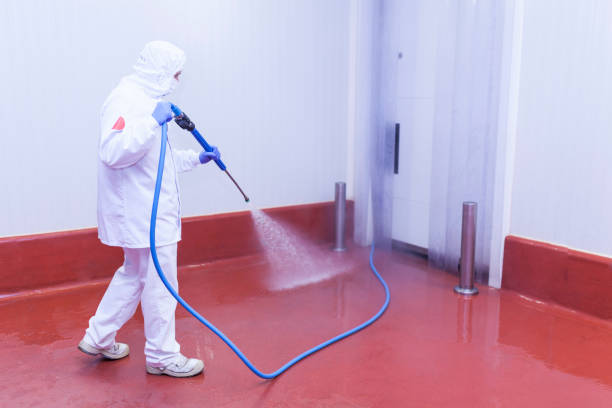 Professional Pressure Washing Services in Davie, FL