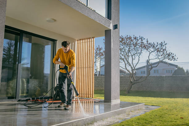 Best Gutter Cleaning  in Davie, FL