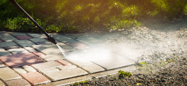 Best Warehouse Cleaning  in Davie, FL